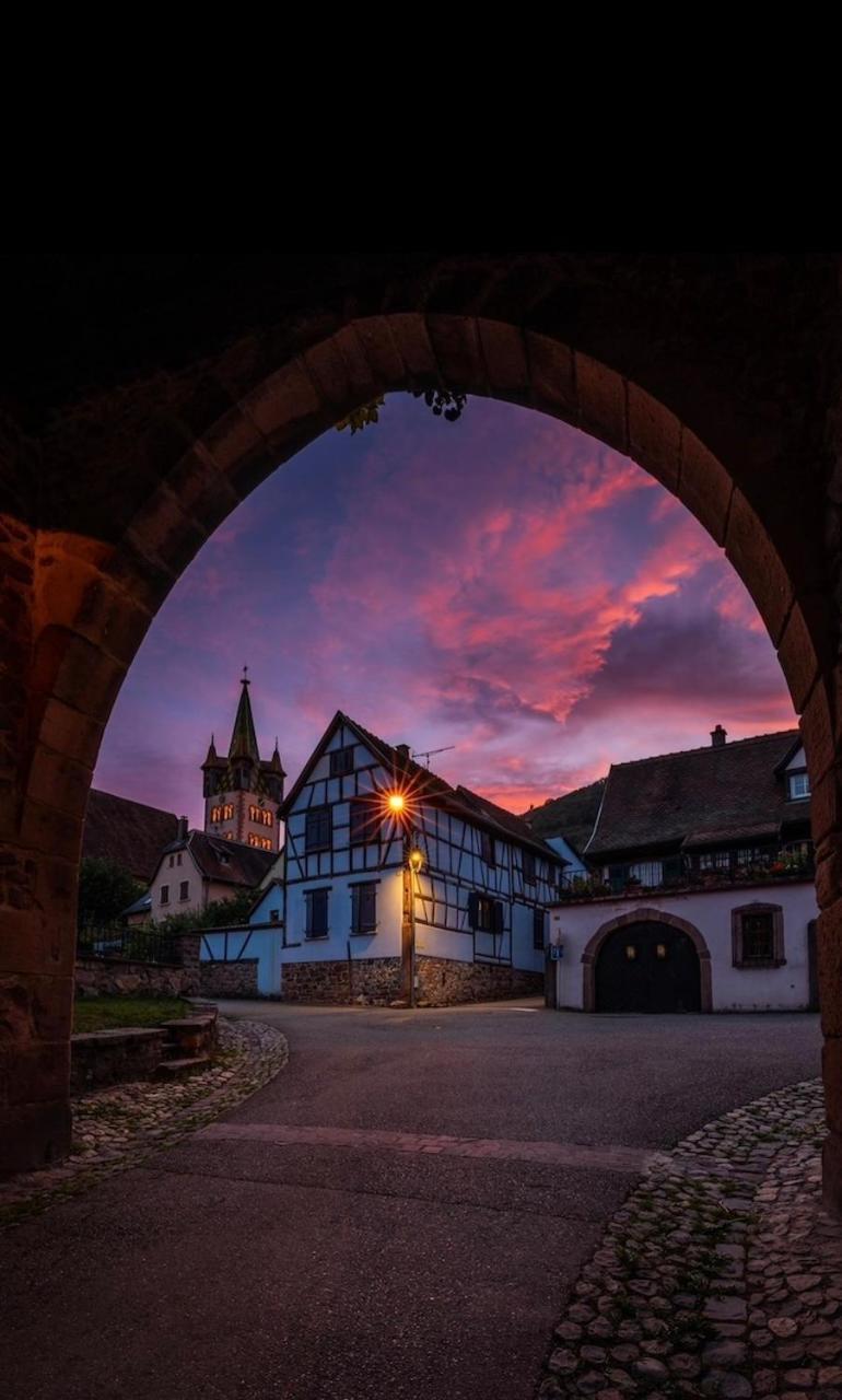Studio Le Petit Pelican Châtenois Zewnętrze zdjęcie