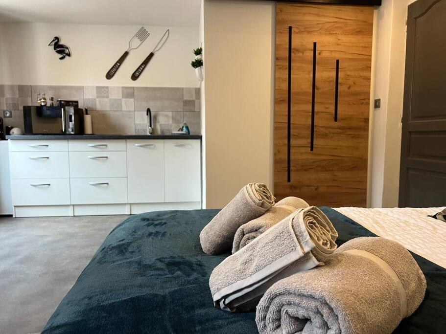 Studio Le Petit Pelican Châtenois Zewnętrze zdjęcie