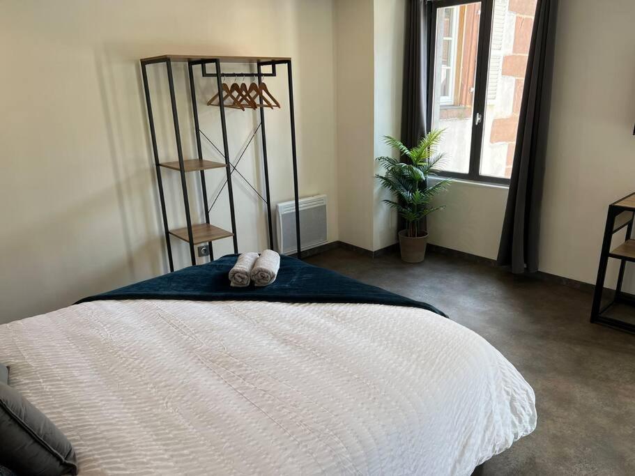 Studio Le Petit Pelican Châtenois Zewnętrze zdjęcie
